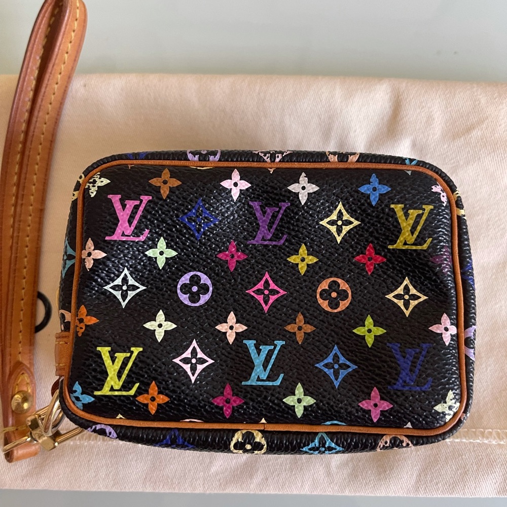 Louis Vuitton Multicolor Wapity